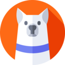 animals,mammal,pet,animal kingdom,dog,siberian husky ok 